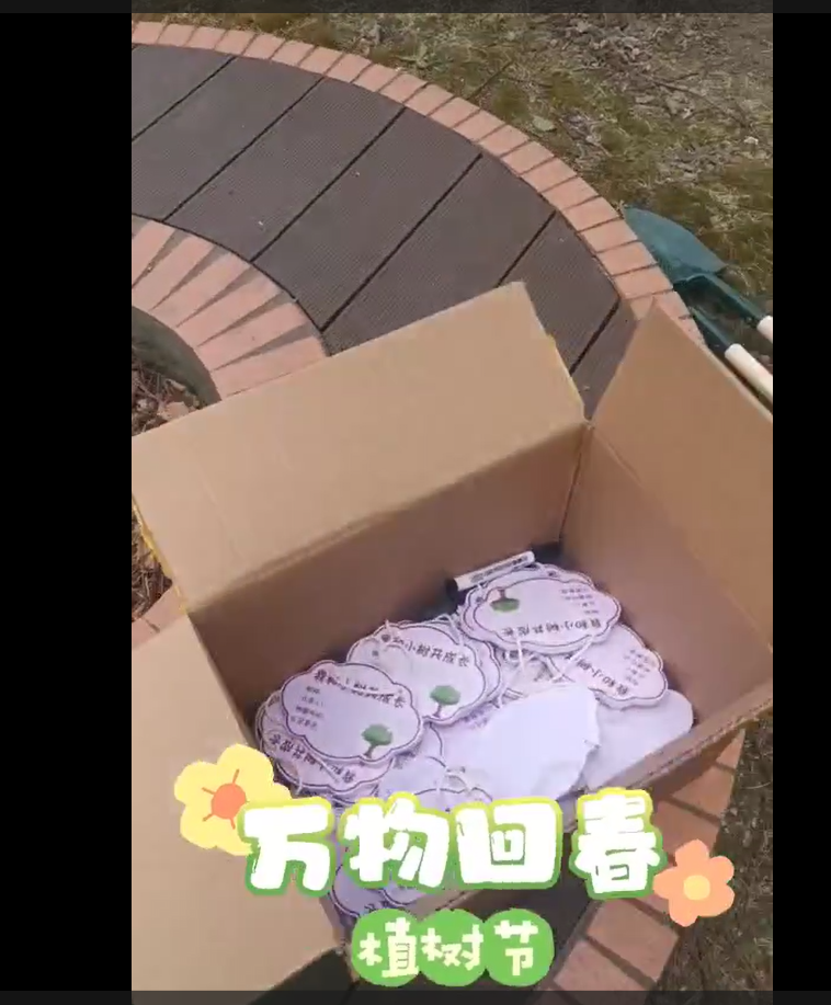 植樹節(jié)活動